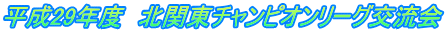 平成29年度 北関東チャンピオンリーグ交流会